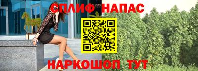 гашик Ленинск-Кузнецкий