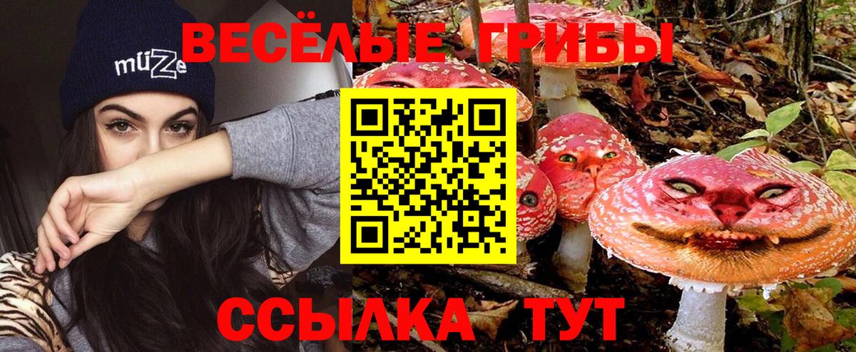 Псилоцибиновые грибы прущие грибы Бахчисарай
