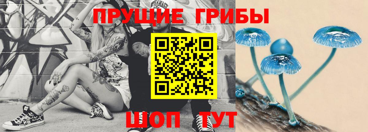 Бахчисарай  Псилоцибиновые грибы Psilocybe  Вход с VPN  Псилоцибиновые грибы прущие грибы 